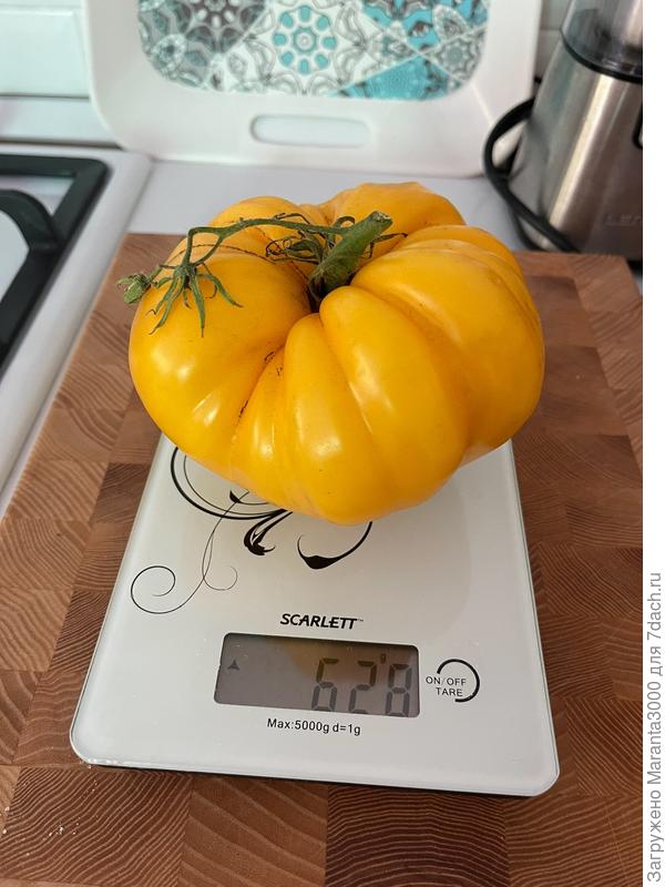 В подтверждение слов, о слоновьевости)