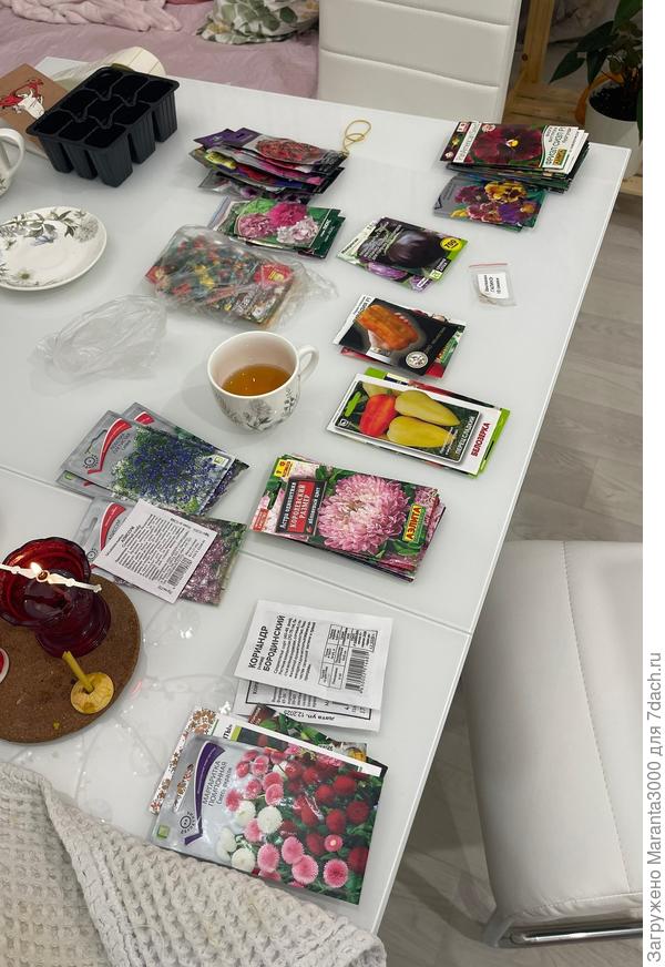 Кощей над златом чахнет, сижу, перебираю свои богачества, готовлюсь