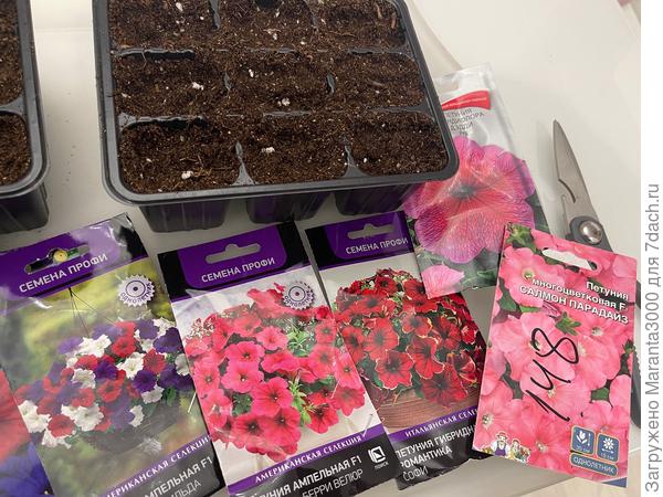 В цветочном магазине прошу, чтобы меня больше не пускали😁