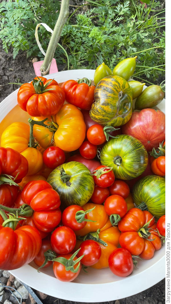 Радует глаз!