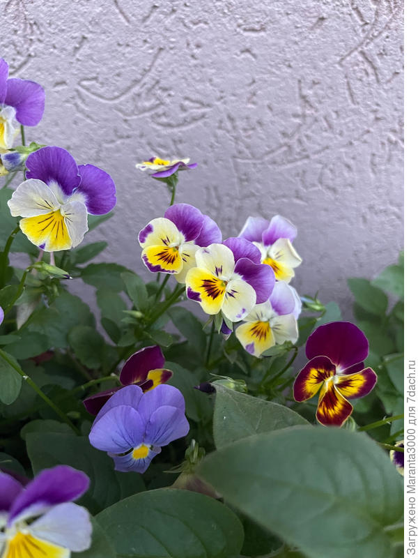 Милая малышня