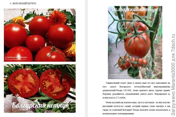 Болгарский кетчуп