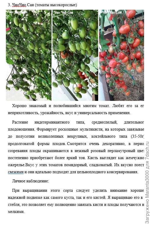 Чио чио сан)