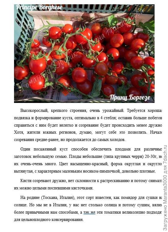 Принц Боргезе