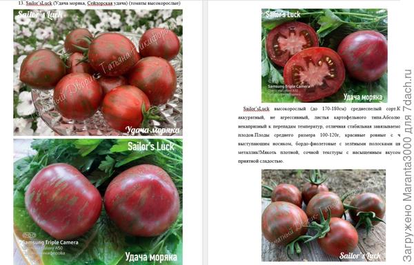 Удача моряка