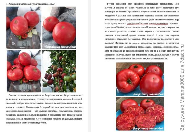 Астраханец