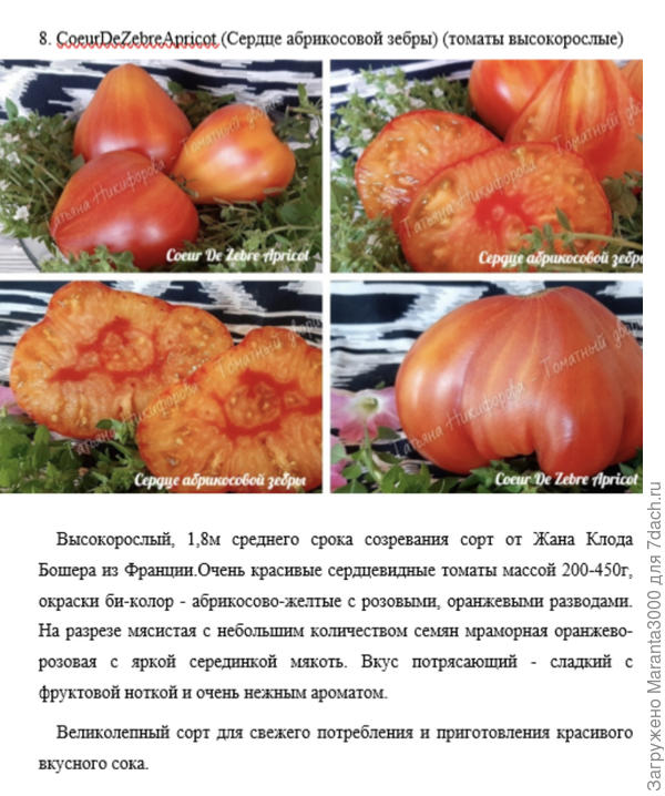 Описание сорта - сделала свой каталог по заказанным семенам и теперь туда ныряю периодически