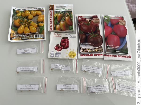 Победители будущего сезона 2026)