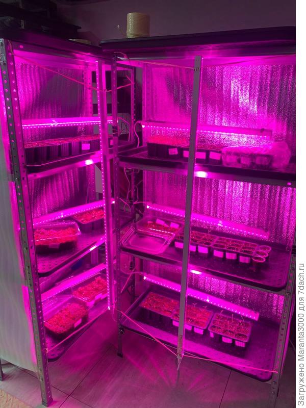 Ну и моё классическое фото «вырви глаз», как хорошо, что теперь я располагаю цоколем (в прошлом году отремонтировали) и базироваться теперь со своими стратегическими объектами там)