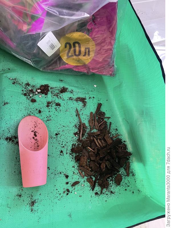 Спасибо, мне не понравилось