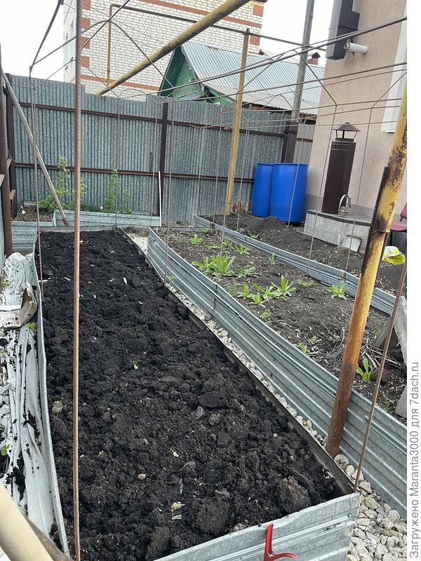 Так же перекопали одну грядку под редис, но посадить не успели, может завтра?