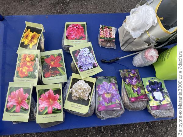 Улов в ассортименте