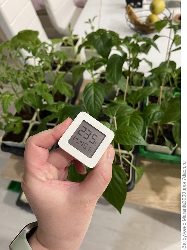 Здесь, на первом этаже, условия комфотней