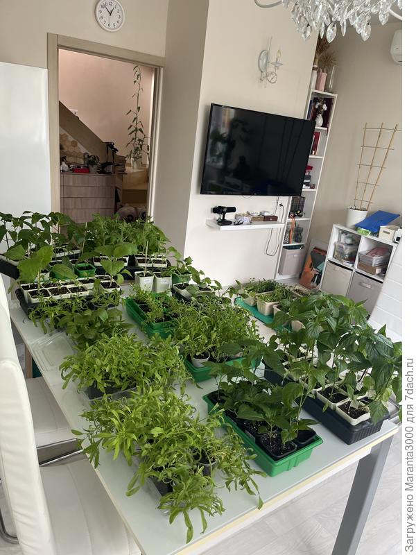 С другой стороны