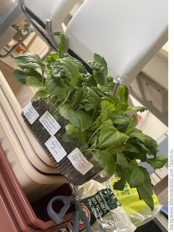 Бедолаги, дождались