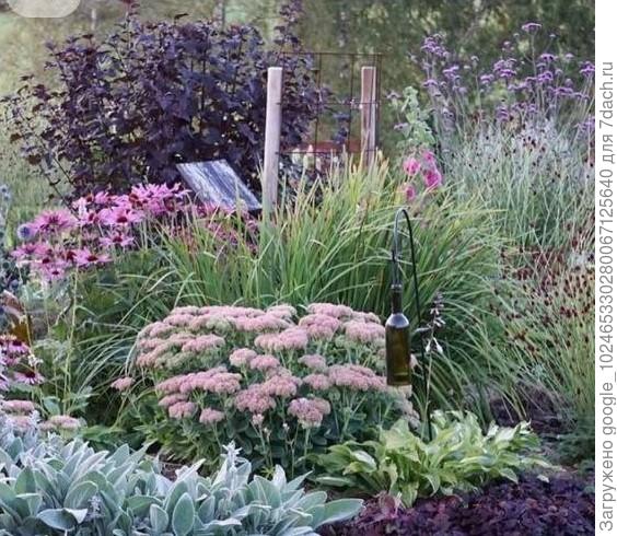 темная листва