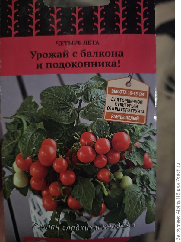 Сорт томата