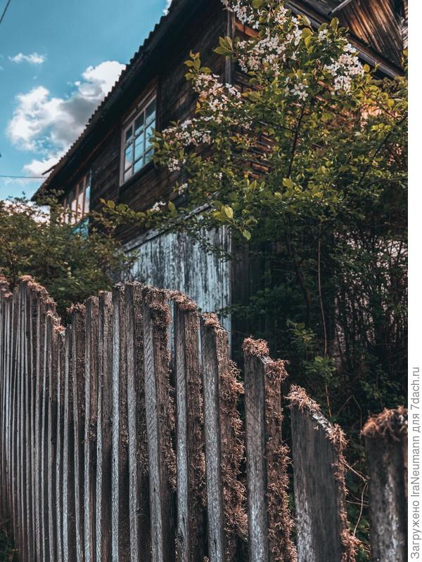 Кому-то просто забор, а кому-то повод запечатлеть милые детали...