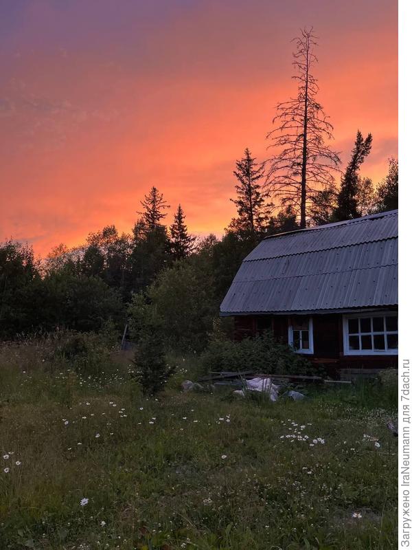 ах, какие закаты передают....