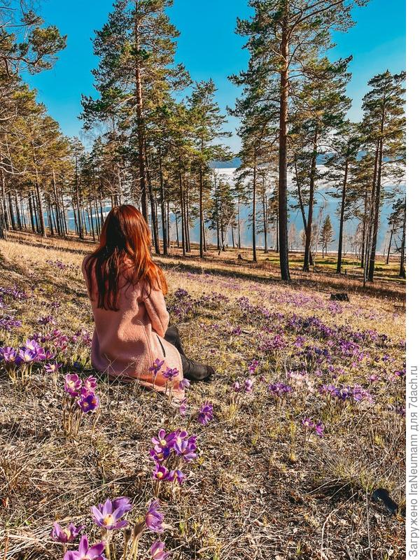 Замечталась