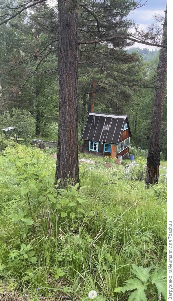 Вот и он - домик на окраине СНТ