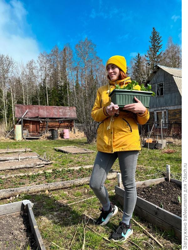 Пробный дачный сезон у друзей.