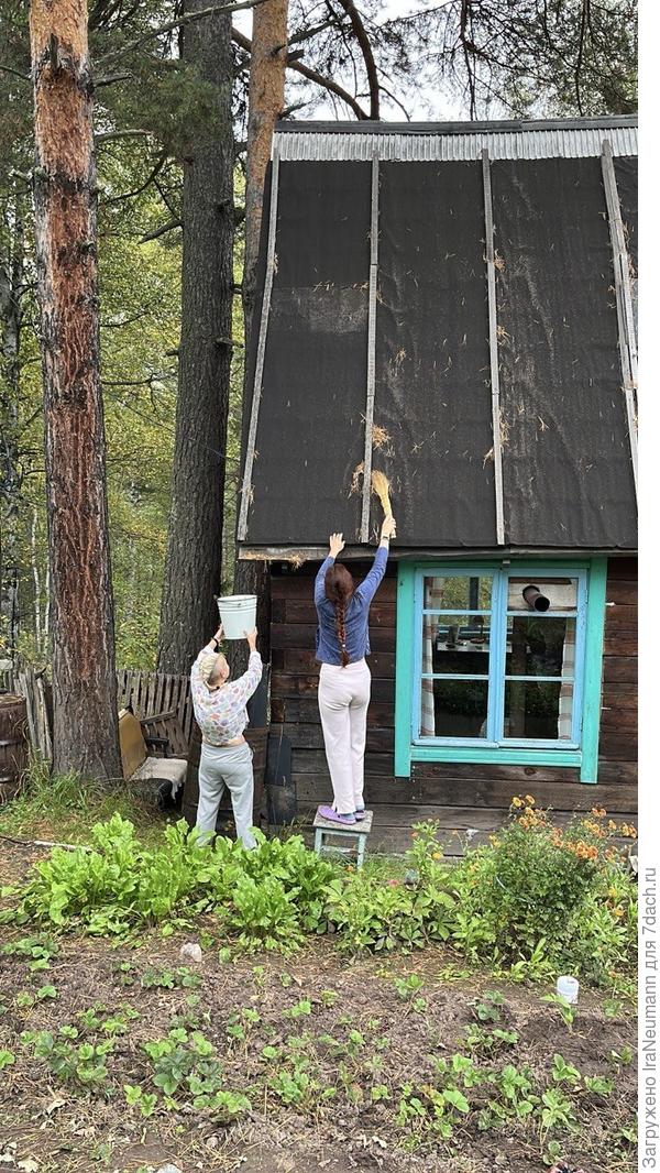 Дачные развлечения: убираем из стоков опавшую хвою.