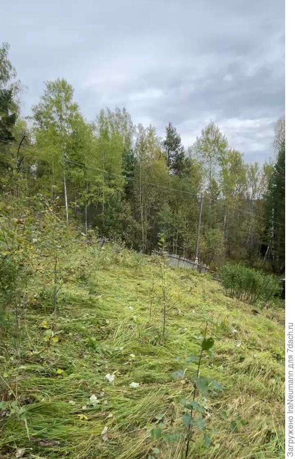 Будущий сад. Его даже видно если хорошенько зажмуриться и пофантазировать