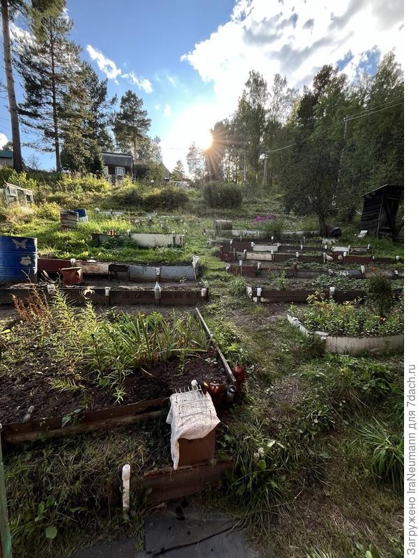 Грядки перед домом