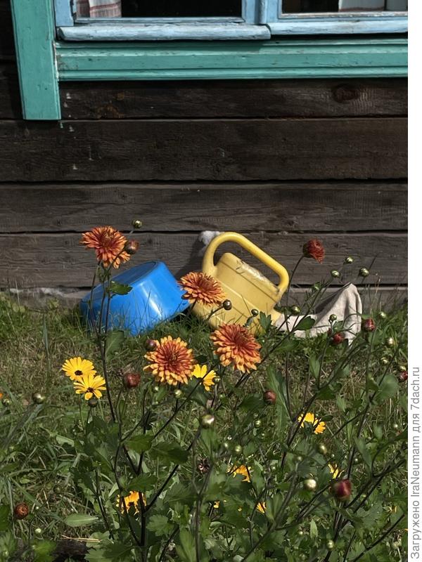 Дачный антураж