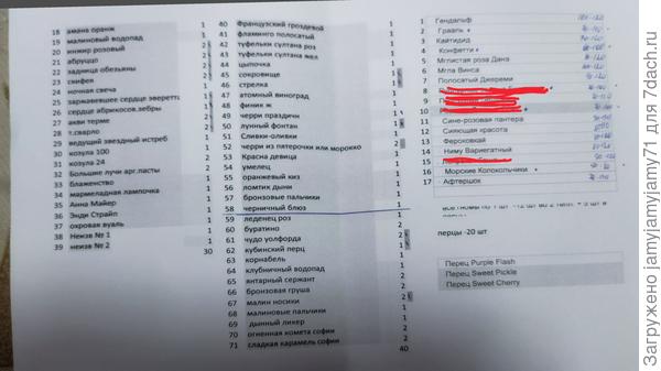 Список томатов 2026