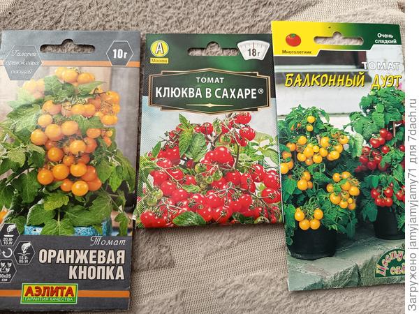 В середине декабря сеяла три сорта для выращивания в горшках.