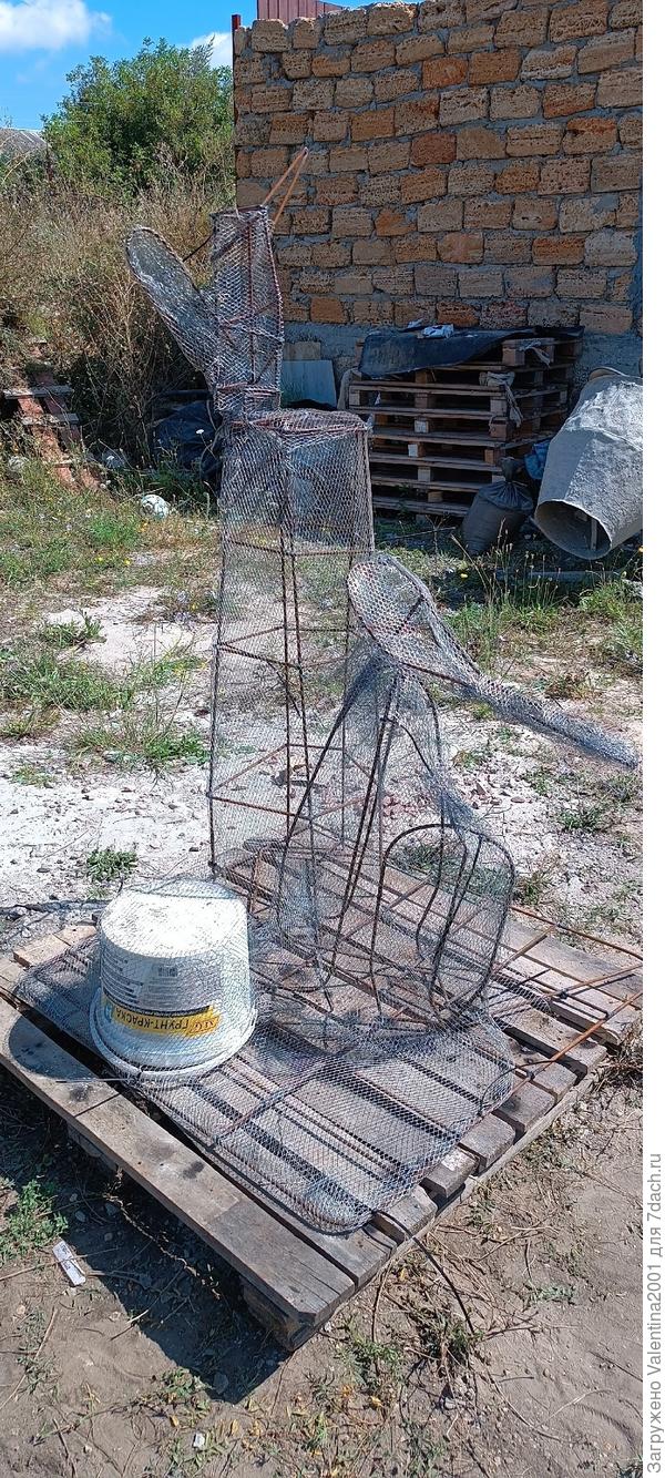 Начальная стадия Белочки