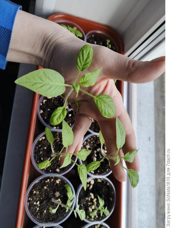 Тратить время на это?