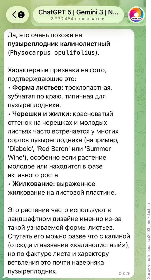 форма листьев, жилкование точь-в-точь