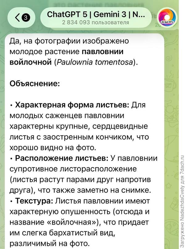 ну и бархатистые листочки)