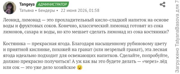 Лимонад на палочке