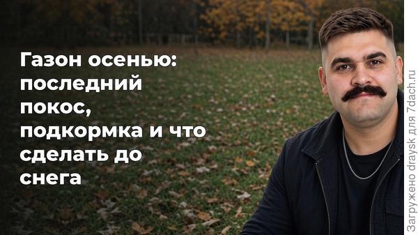 Осенний газон на даче
