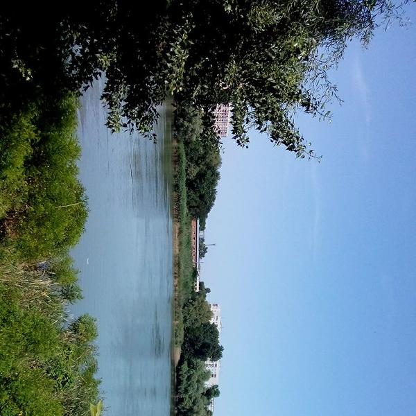 на том берегу остался гопод