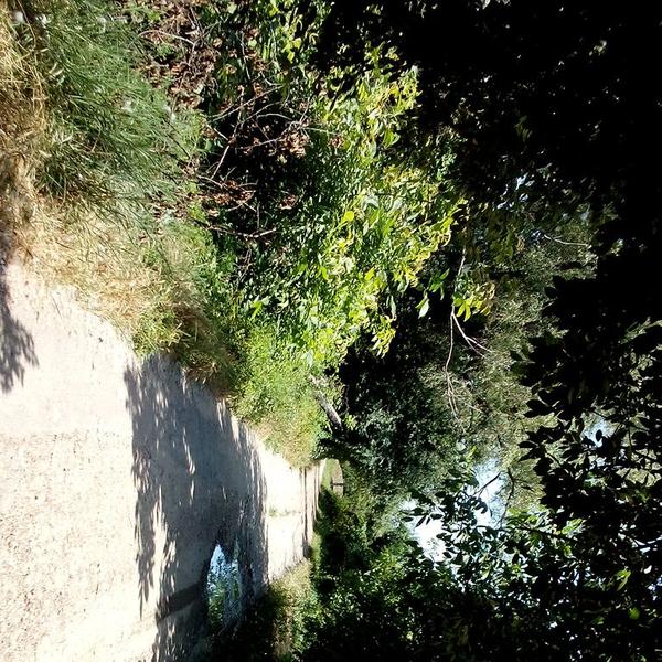 тропинка в Козет