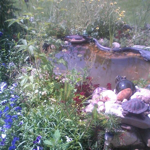 фото с камеры планшета, в программе фотография не срабатывает