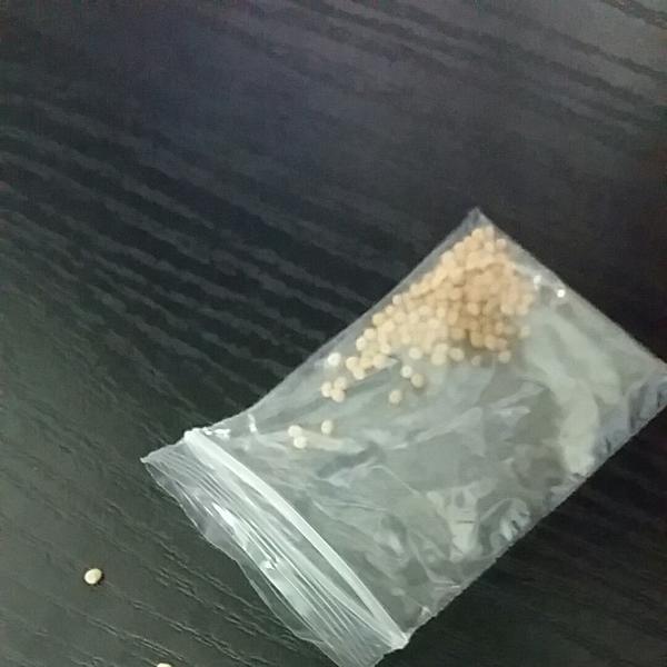 Семена такие. Бежевые шарики 1мм.в диаметре