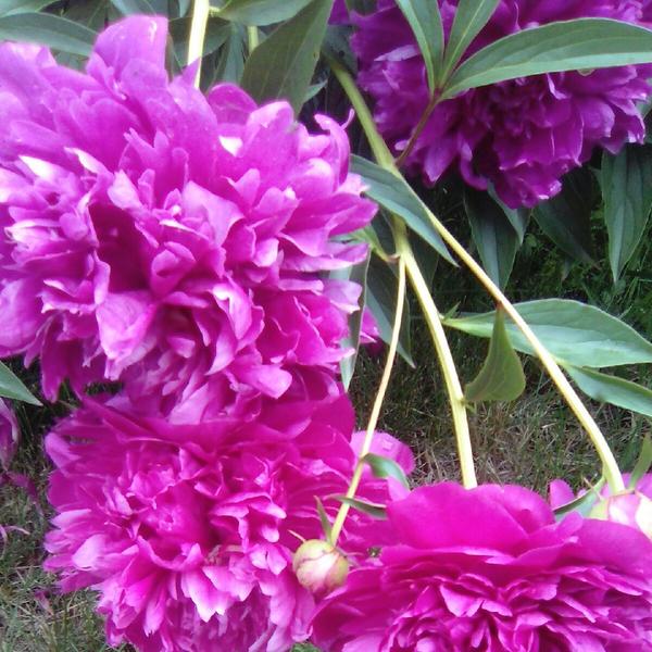 Всем у-дачных выходных :)