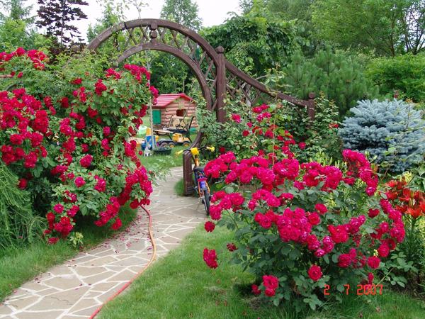 Любовь к природе.