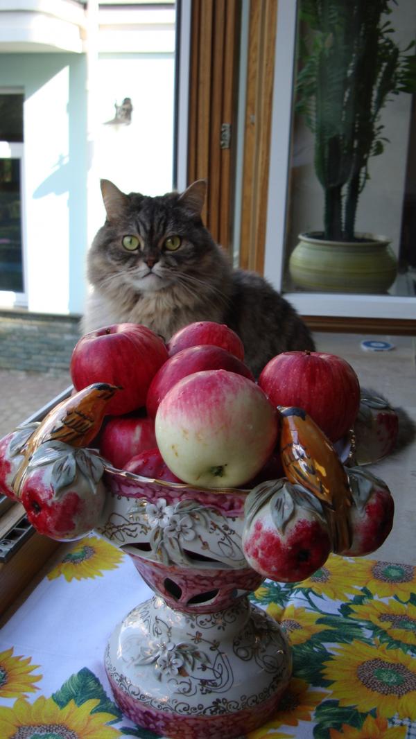 Любовь к природе.