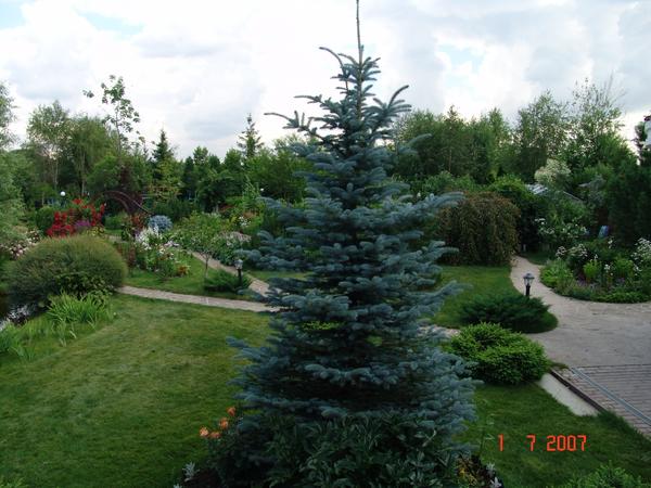 Любовь к природе.