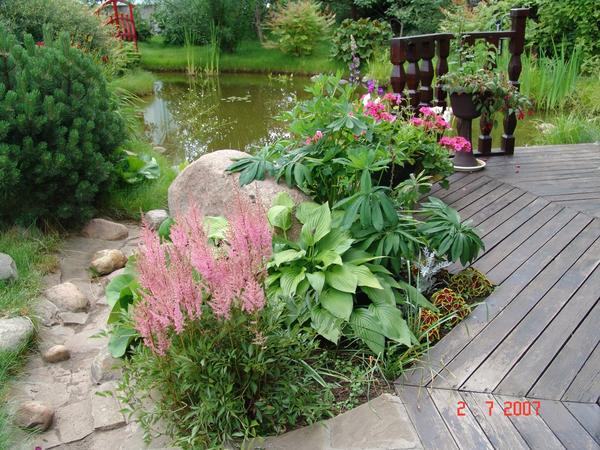 Любовь к природе.