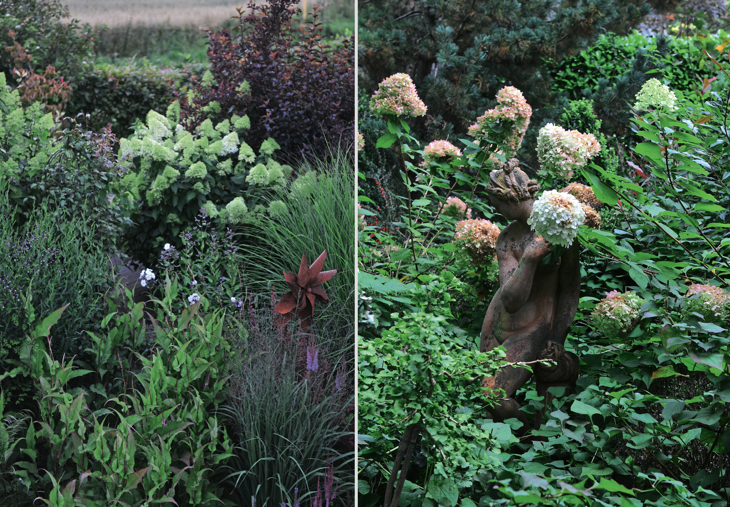 Метельчатой гортензии идут сады разных стилей
