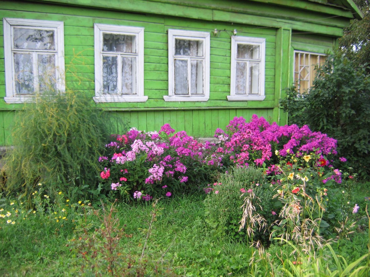 Палисадник в деревне