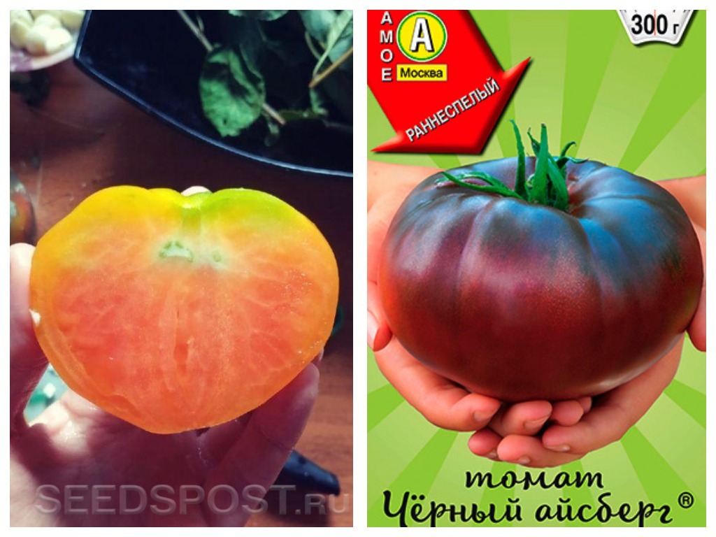Эти томаты от "Аэлиты" получили оценку 10 из 10. Фото с сайта seedspost.ru